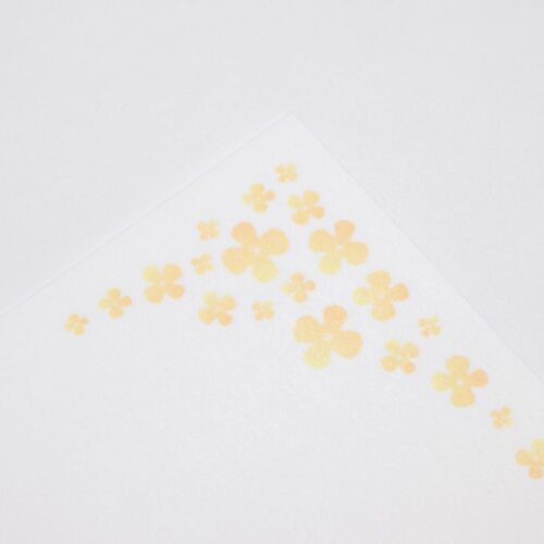 菜の花_アップ