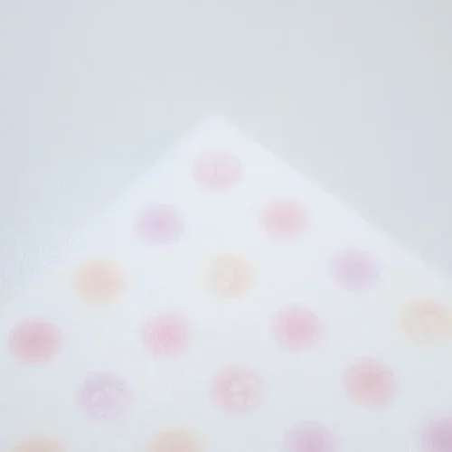 かすみ桜_アップ