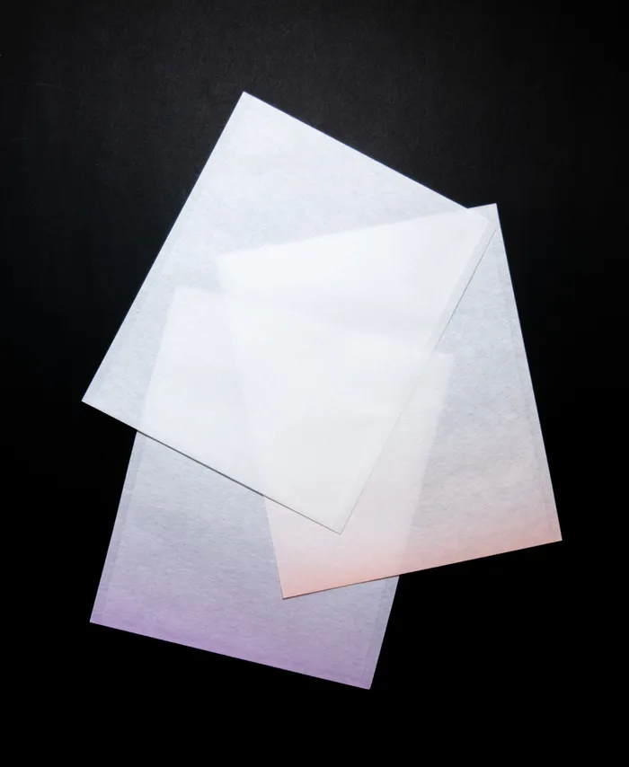 袋de懐紙（大） - 京都懐紙専門店「辻徳」オンラインショップ