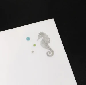 タツノオトシゴ_アップ2