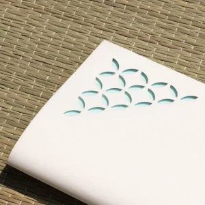 七宝(夏)アップ