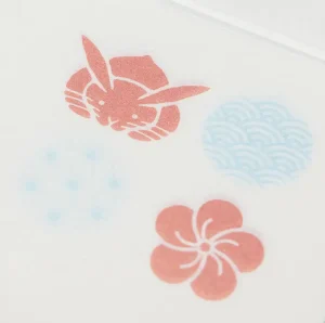 花兎　アップ