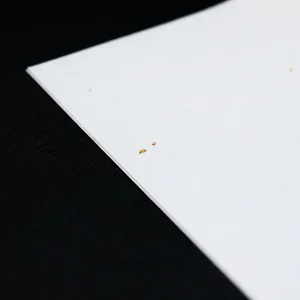 金砂子大　アップ