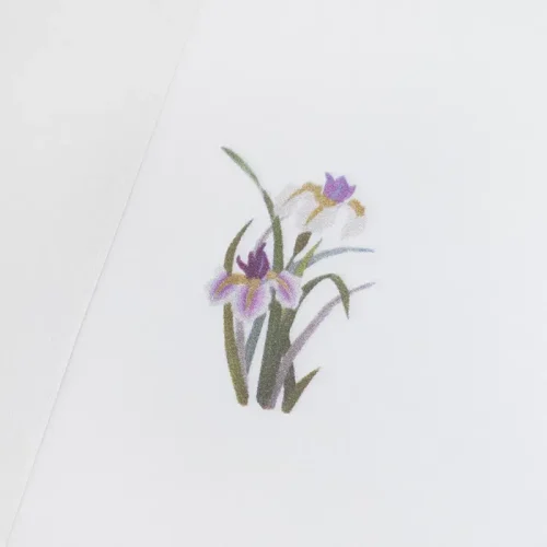 草乃展_藤_アップ2