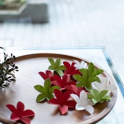 hana懐紙_xmas限定2