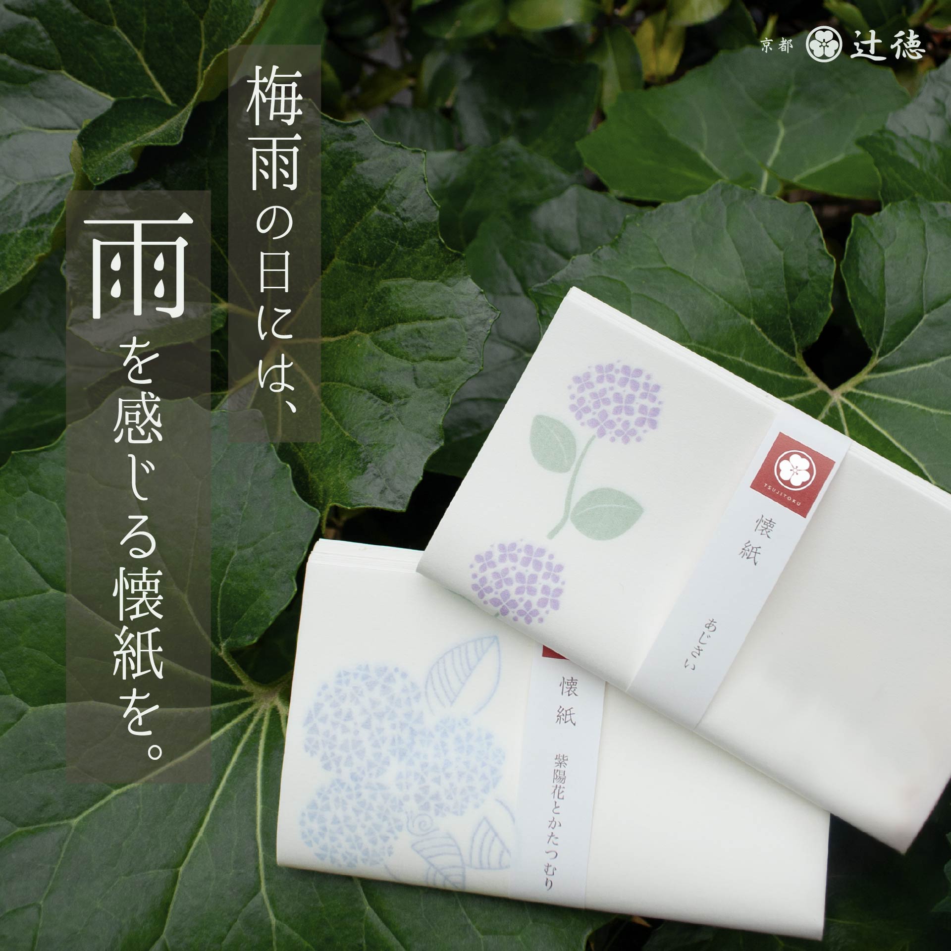 2025_5_梅雨懐紙