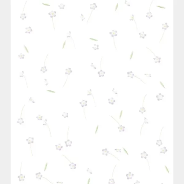 わすれな草_サムネ-500x500