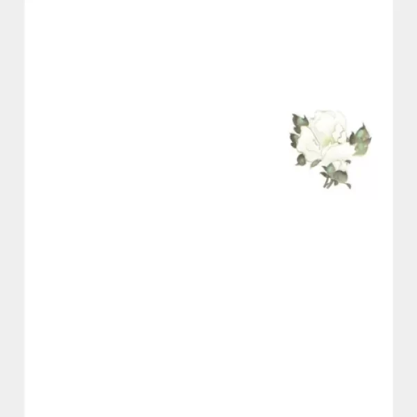 白椿_サムネ-500x500