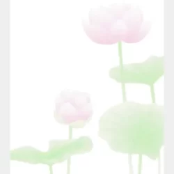 蓮_サムネ-500x500