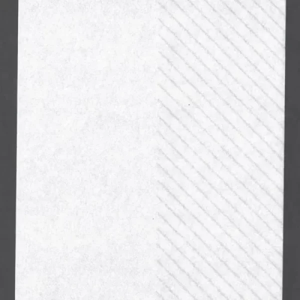 斜光_サムネ-500x500