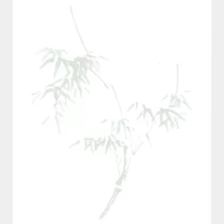 竹_サムネ-500x500