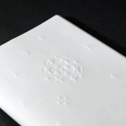 ミツマタ_サムネ