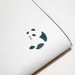 pic_パンダ_サムネ